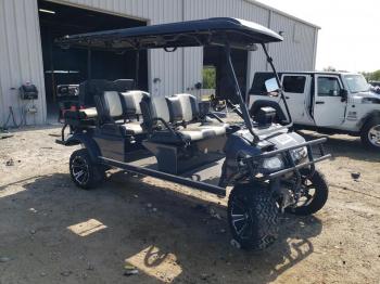  Salvage Golf Evolution