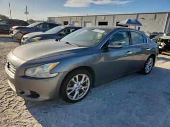 Salvage Nissan Maxima