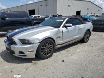  Salvage Ford Mustang