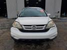 Honda Crv Exl Image 3