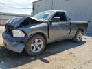 Dodge Ram 1500 Image 1
