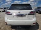 Lexus RX 350 Image 5