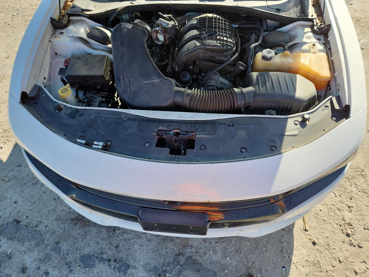 Dodge Charger Sxt Image 8