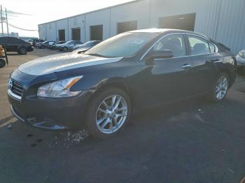  Salvage Nissan Maxima