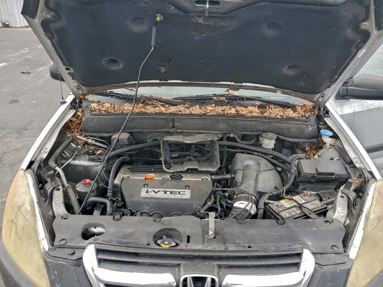 Honda Crv Lx Image 8