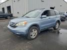 Honda Crv Exl Image 1