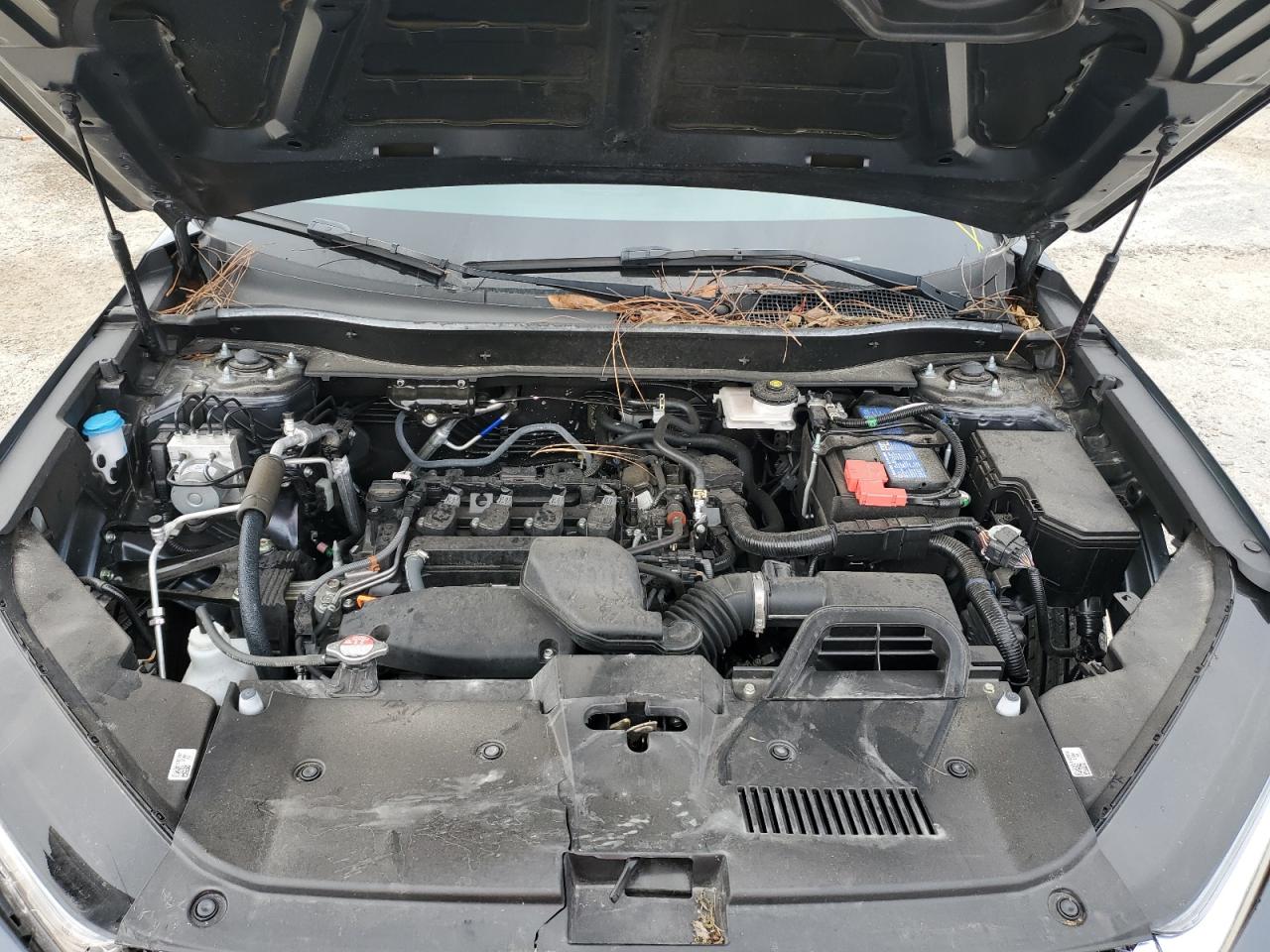 Honda Crv Ex Image 7