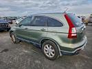 Honda Crv Exl Image 4
