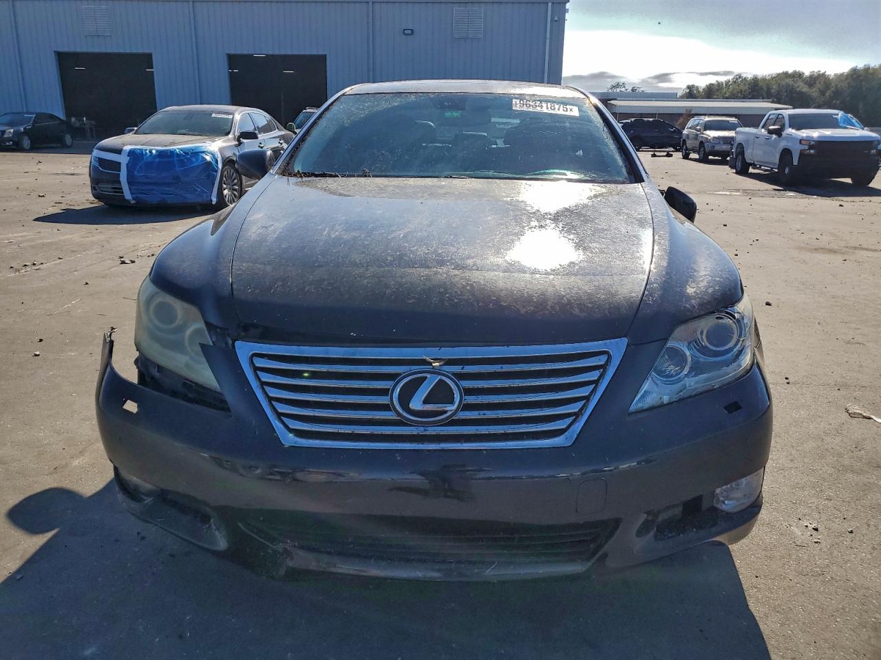 Lexus LS 460 Image 3