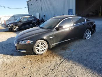  Salvage Jaguar XF