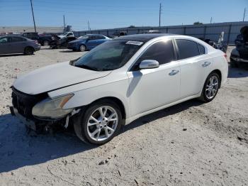  Salvage Nissan Maxima