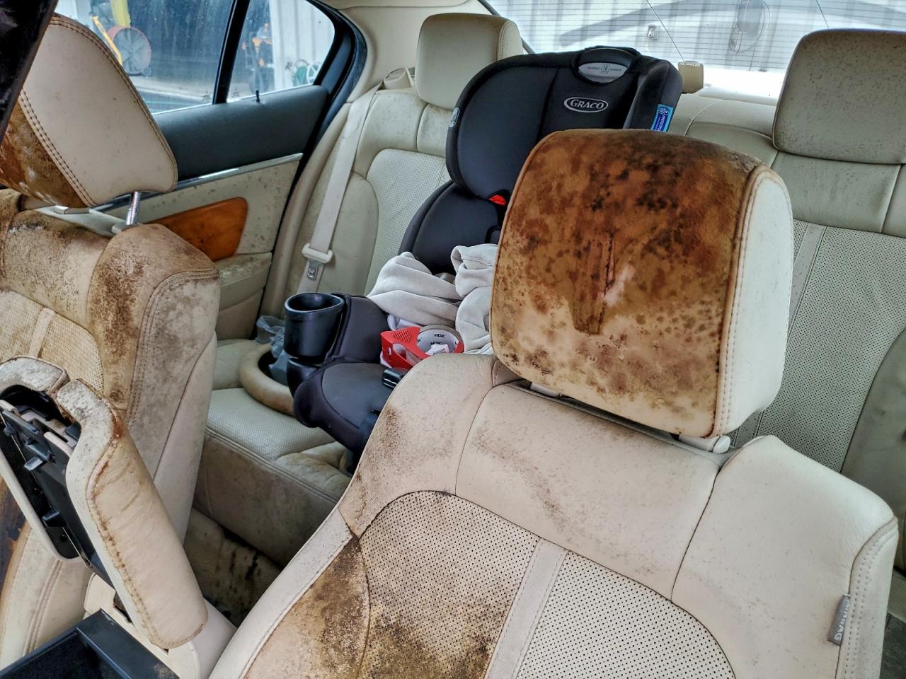 Lincoln MKS Image 11