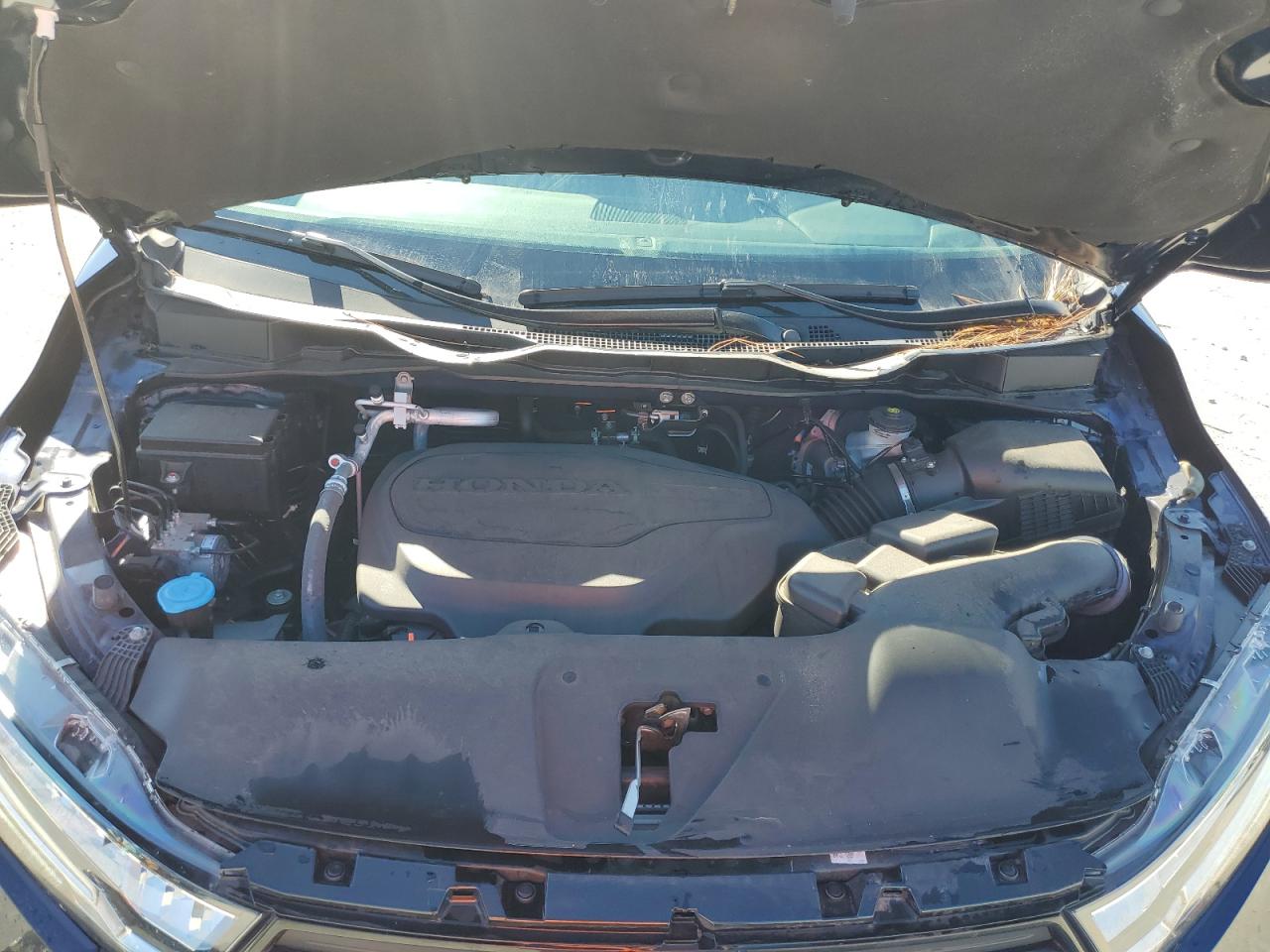 Honda Odyssey Exl Image 10