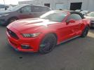 Ford Mustang Image 1