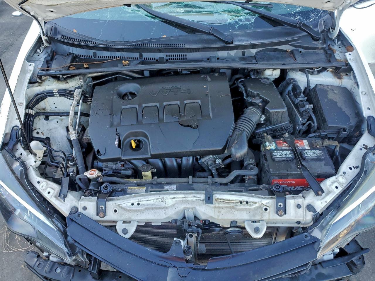 Toyota Corolla L Image 8