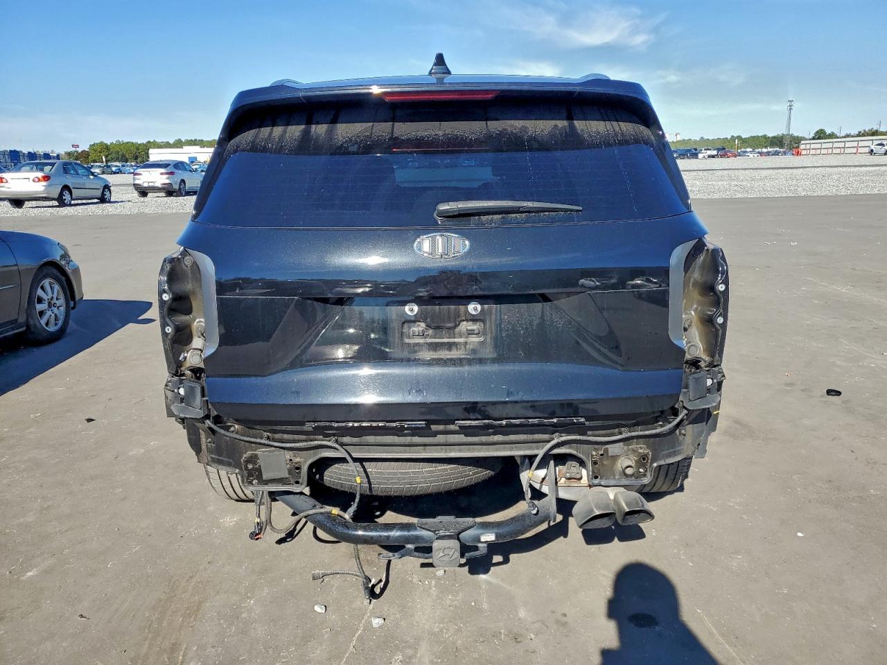 Hyundai PALISADE Sel Image 5