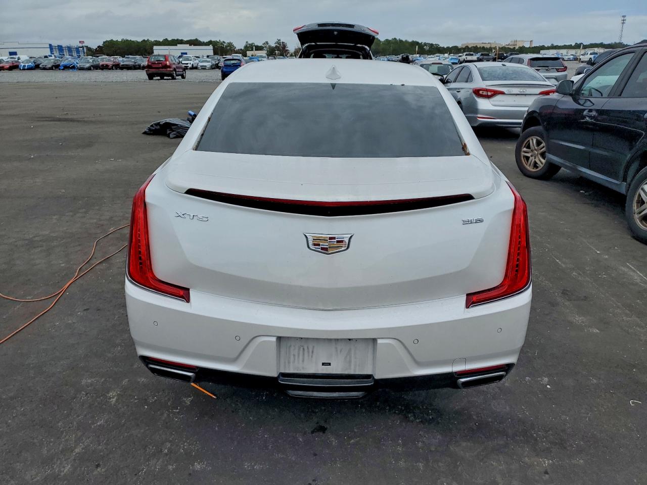 Cadillac XTS Luxury Image 6