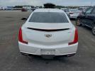 Cadillac XTS Luxury Image 6