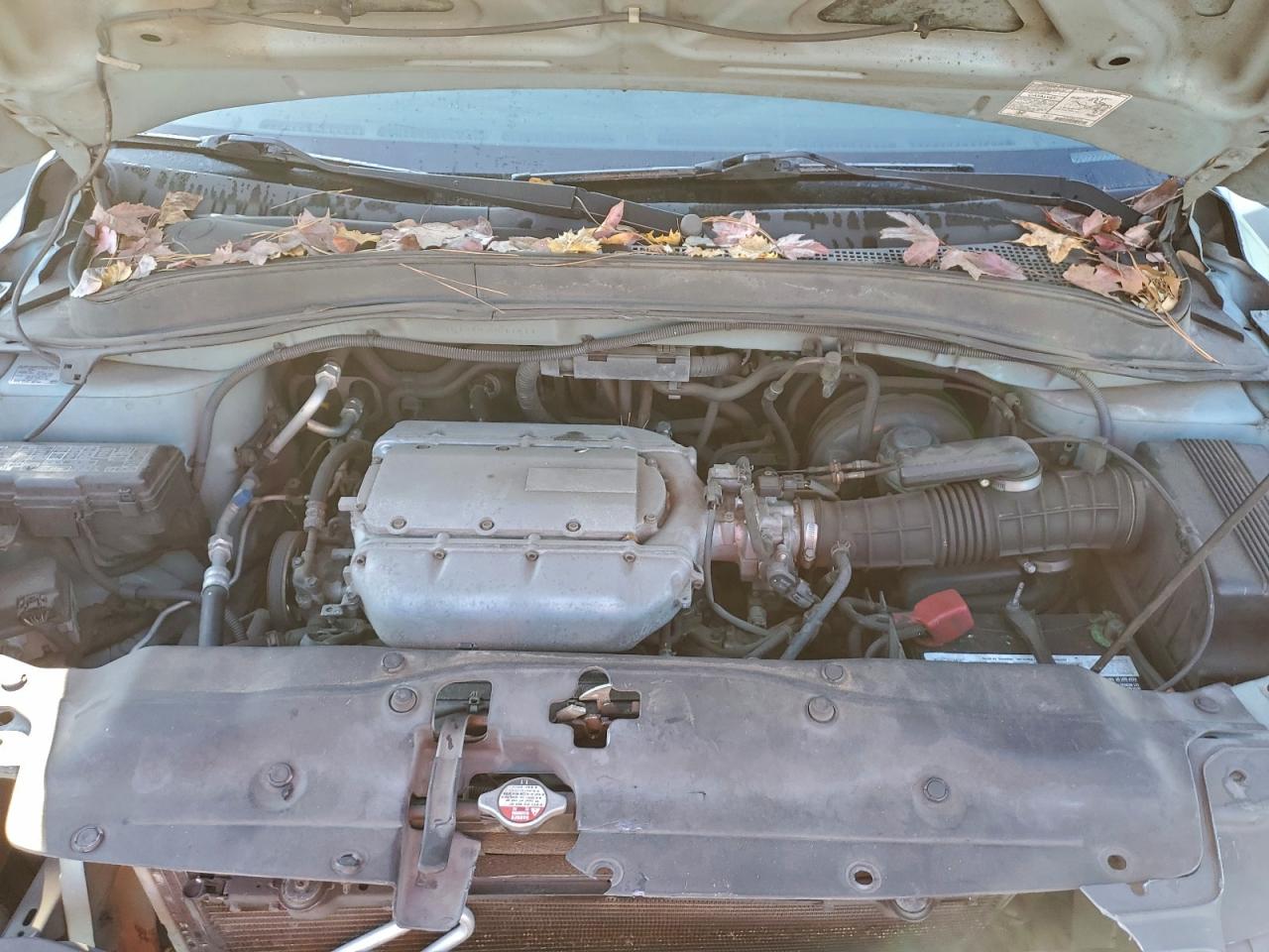 Honda Pilot Ex Image 12