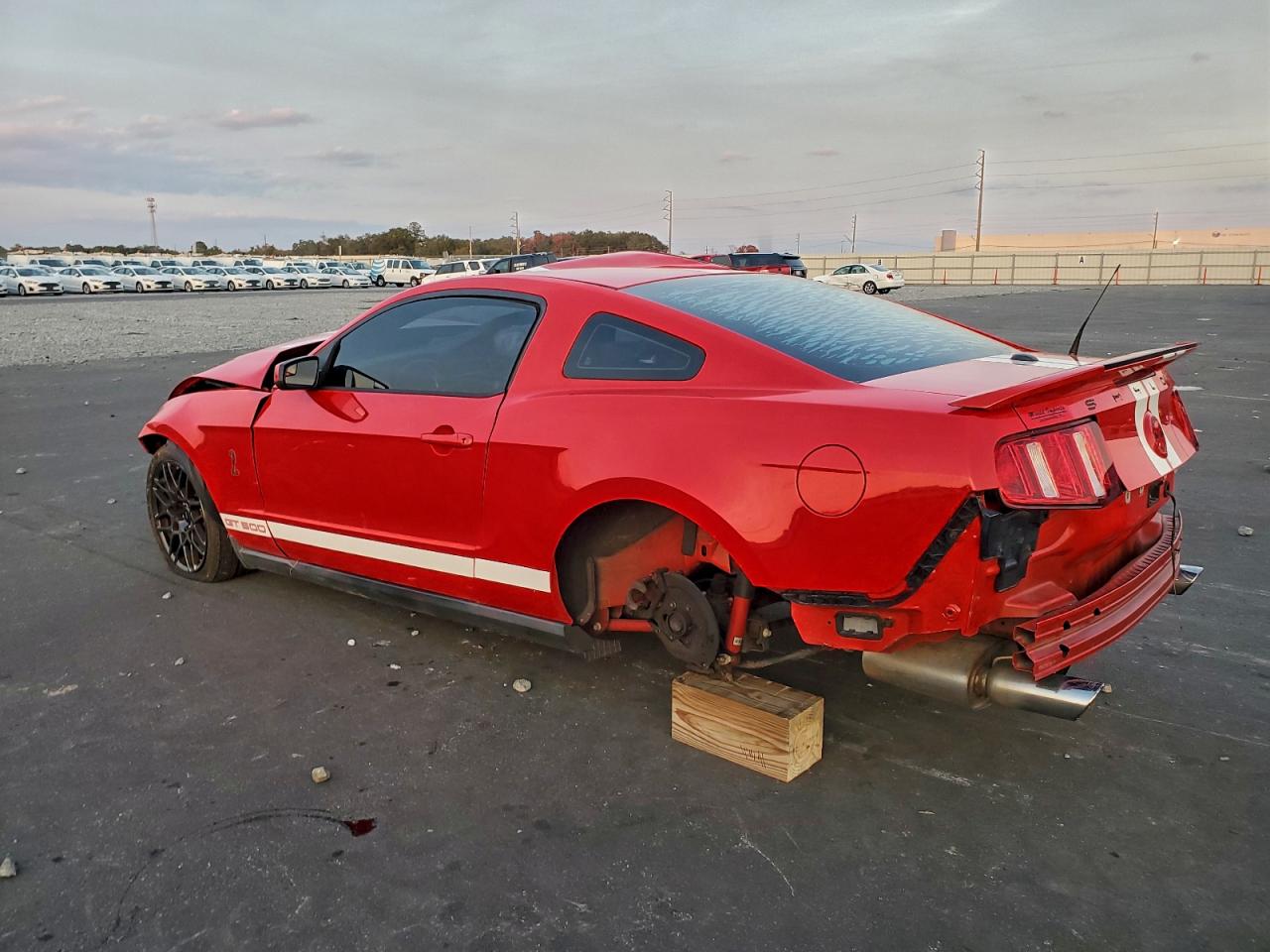 Ford Mustang Shelby Gt500 Image 2