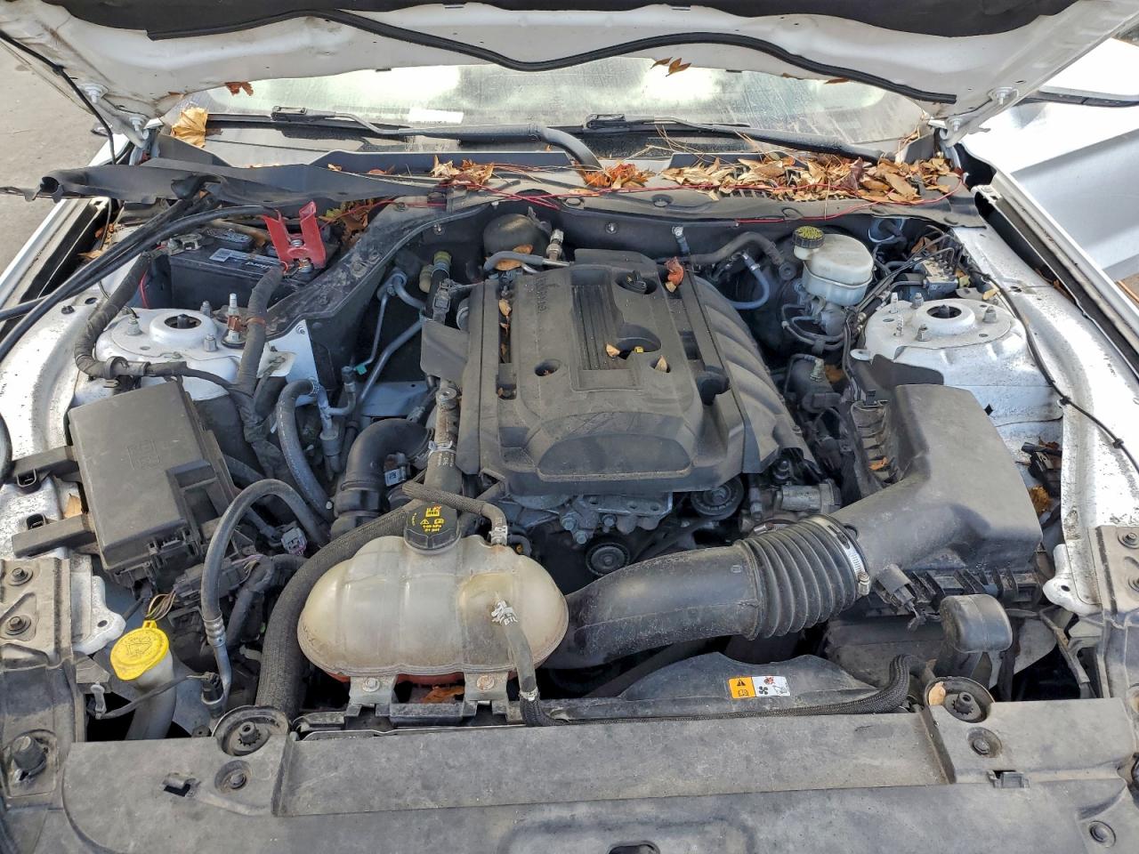 Ford Mustang Image 13