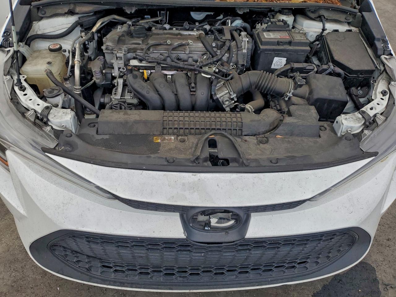 Toyota Corolla Le Image 9